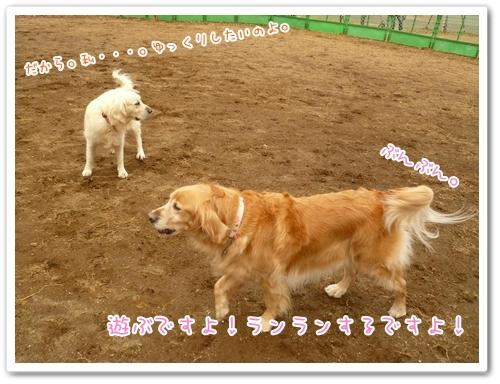 しっぽぶんぶん。
