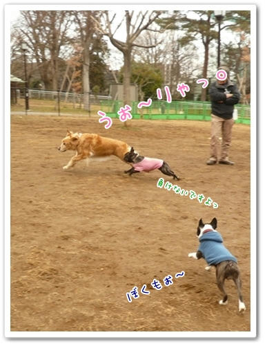 うぉ～りゃぁ～。