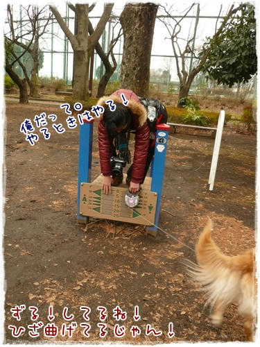 ずる。