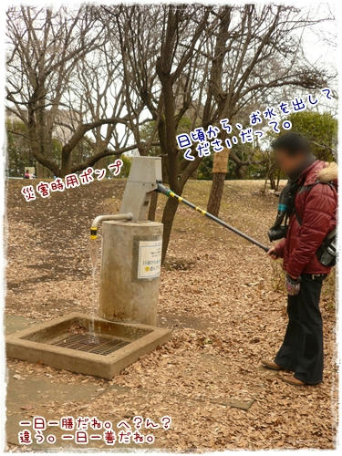 ポンプポンプ