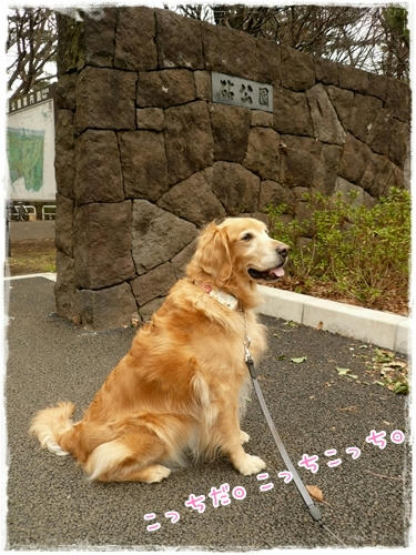 こっちだこっち。