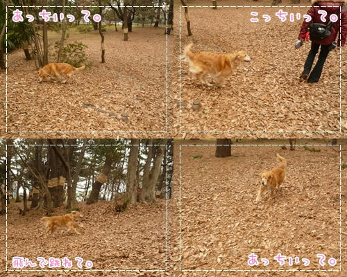 あっちこっち。