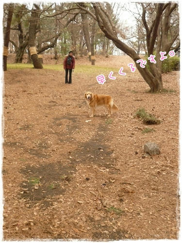 早くくるですよ。
