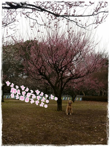 まての練習。