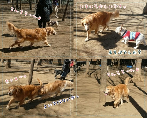るんるん。
