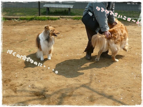 なでなでさいこぉ～