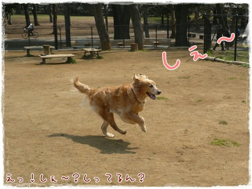しぇ～