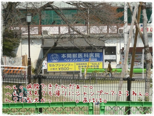 びょういん！