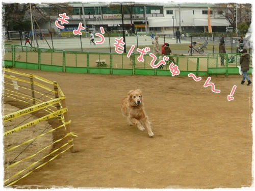 ばびゅ～ん。