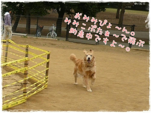 みみこぷた～