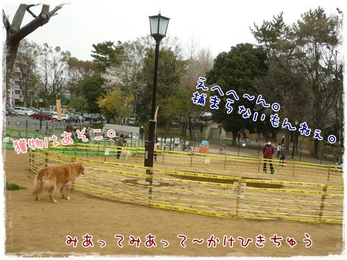 かけひき？