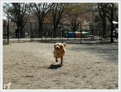 小金井公園♪