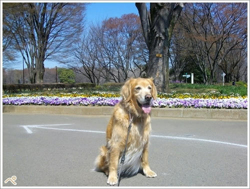 小金井公園♪