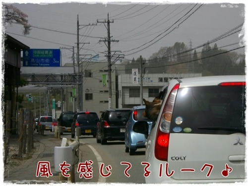 顔だしすぎですよぉ~