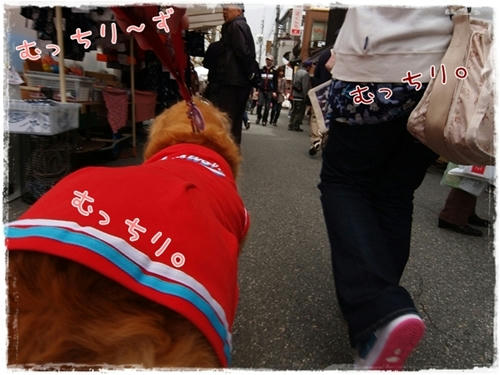 むっちり~ず