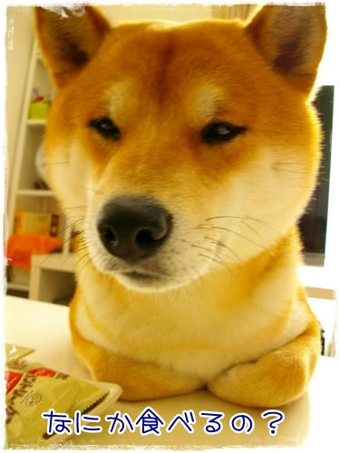 なにかたべるの?