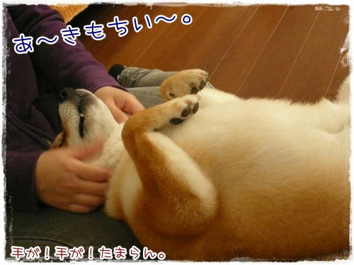 きもち~