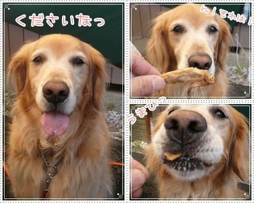 く~だ~さ~いなっ