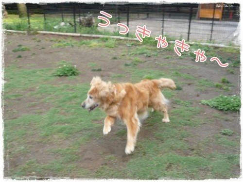 うっきゃきゃ～。