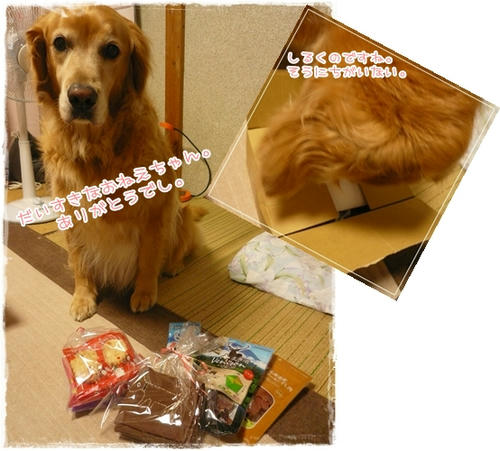 ありがとでし。