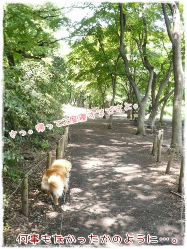 なにごともなかったの
