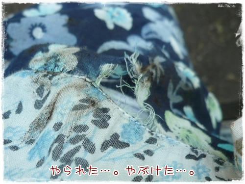 やぶけた