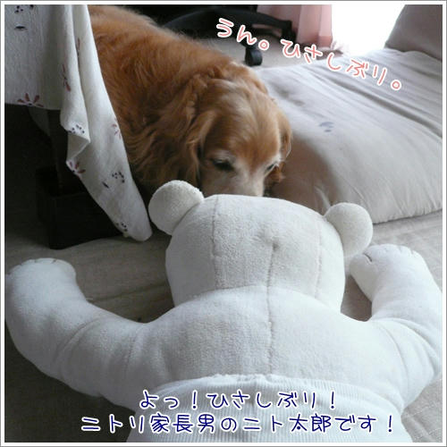にとたろう