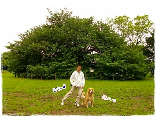 るん。
