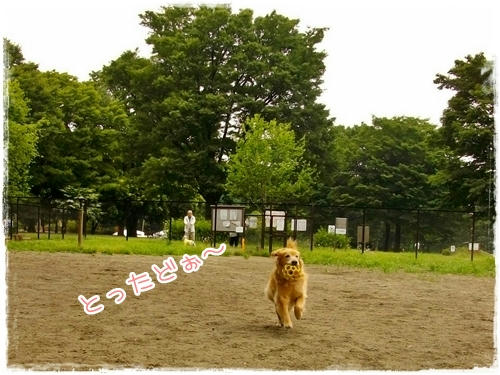 とったどぉ～