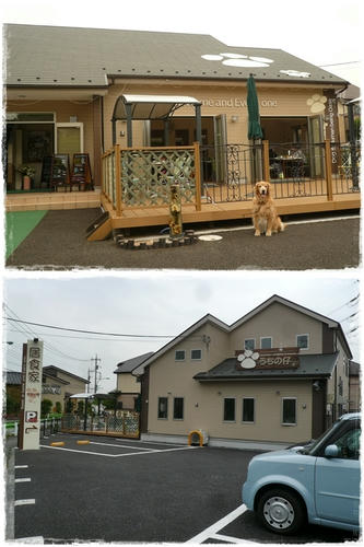 ごはんたべた。