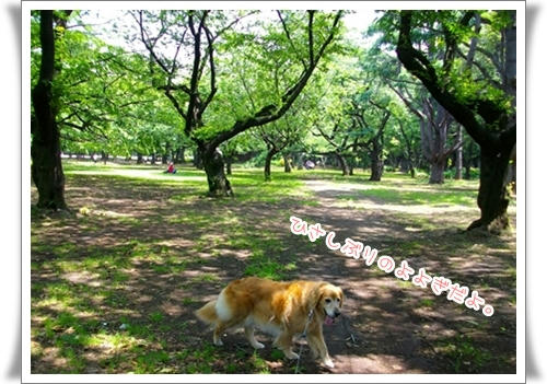 よよぎ