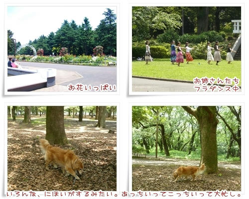 よよぎ