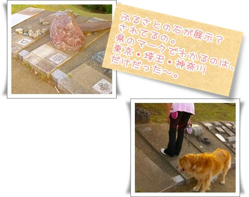 いし