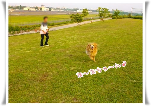 な～な～ちゃ～ん
