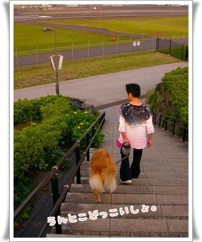 うんとこどっこいしょ