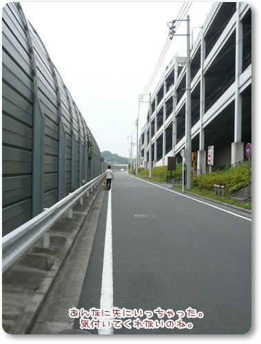 きづいてくれない。
