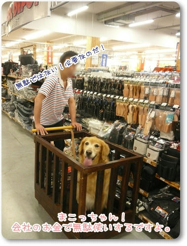 無駄遣い