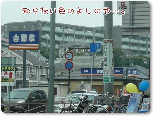 にせものかと思った。