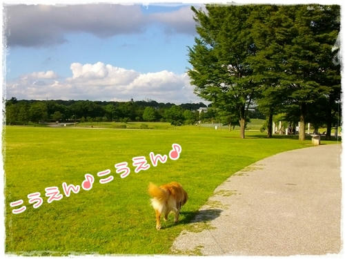 こうえん♪