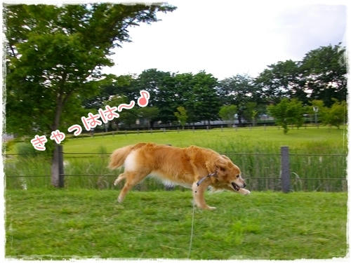 きゃっはは～