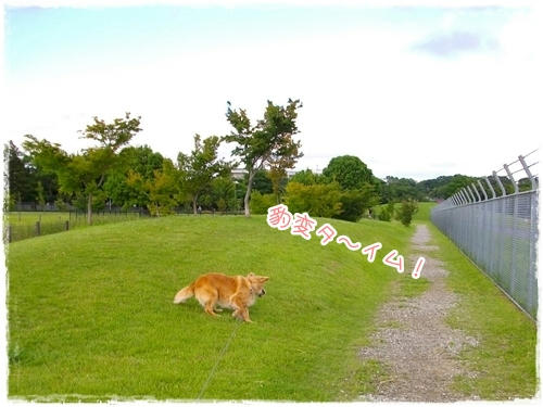 ひょうへんたいむ