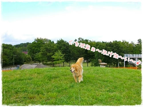 くちぶえふけない