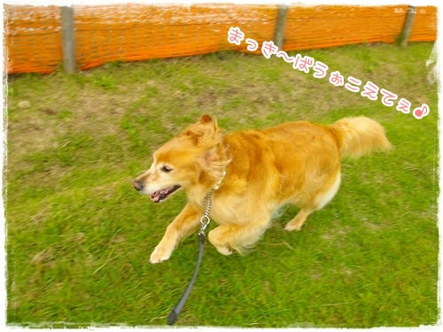 まき～ば～を～こ～えてぇ～