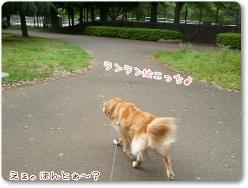らんらんはこっち。