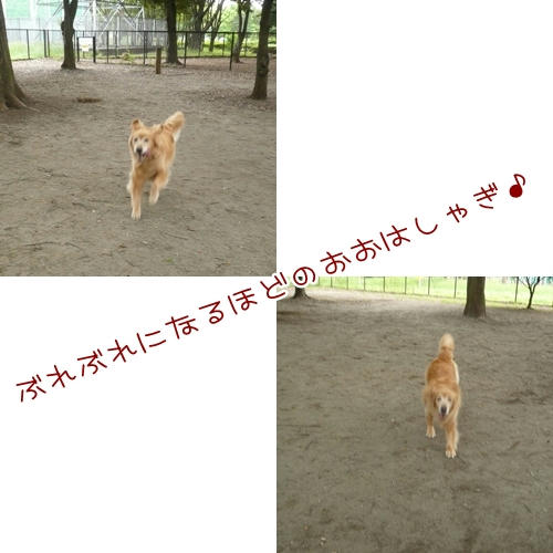 うっきゃきゃ～