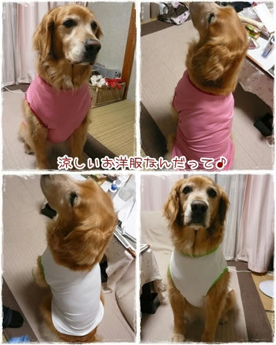 すずしいお洋服だって。
