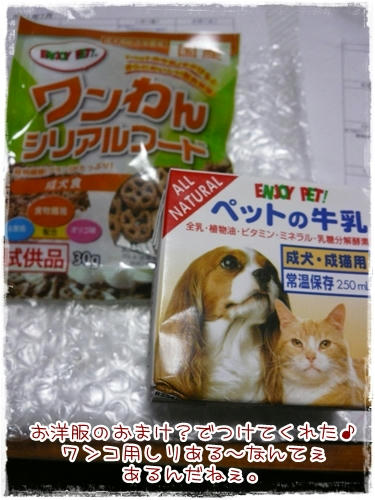 しりある