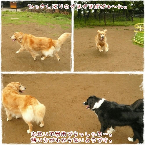 ひっさしぶりの～