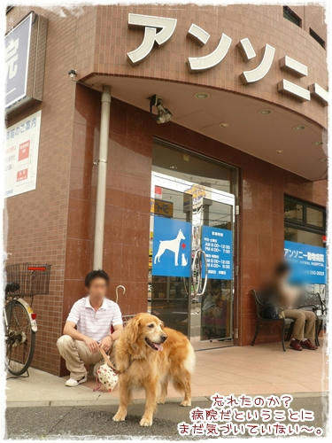 びょういん