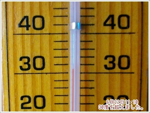 30度を超えました